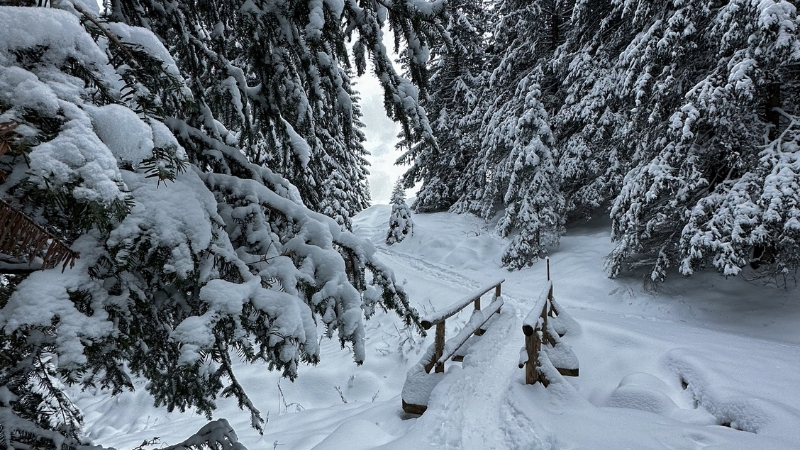 Kulig Zakopane — zdjęcie 4
